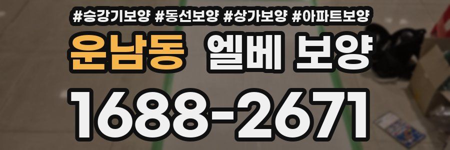 운남동 엘베 보양