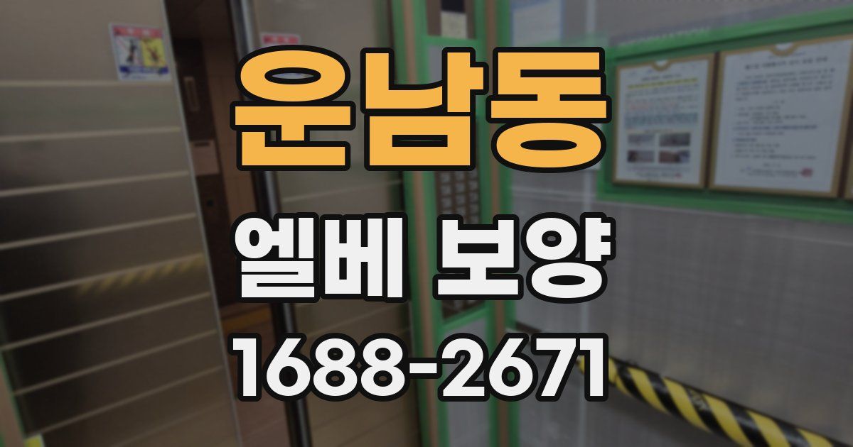 운남동 엘베 보양