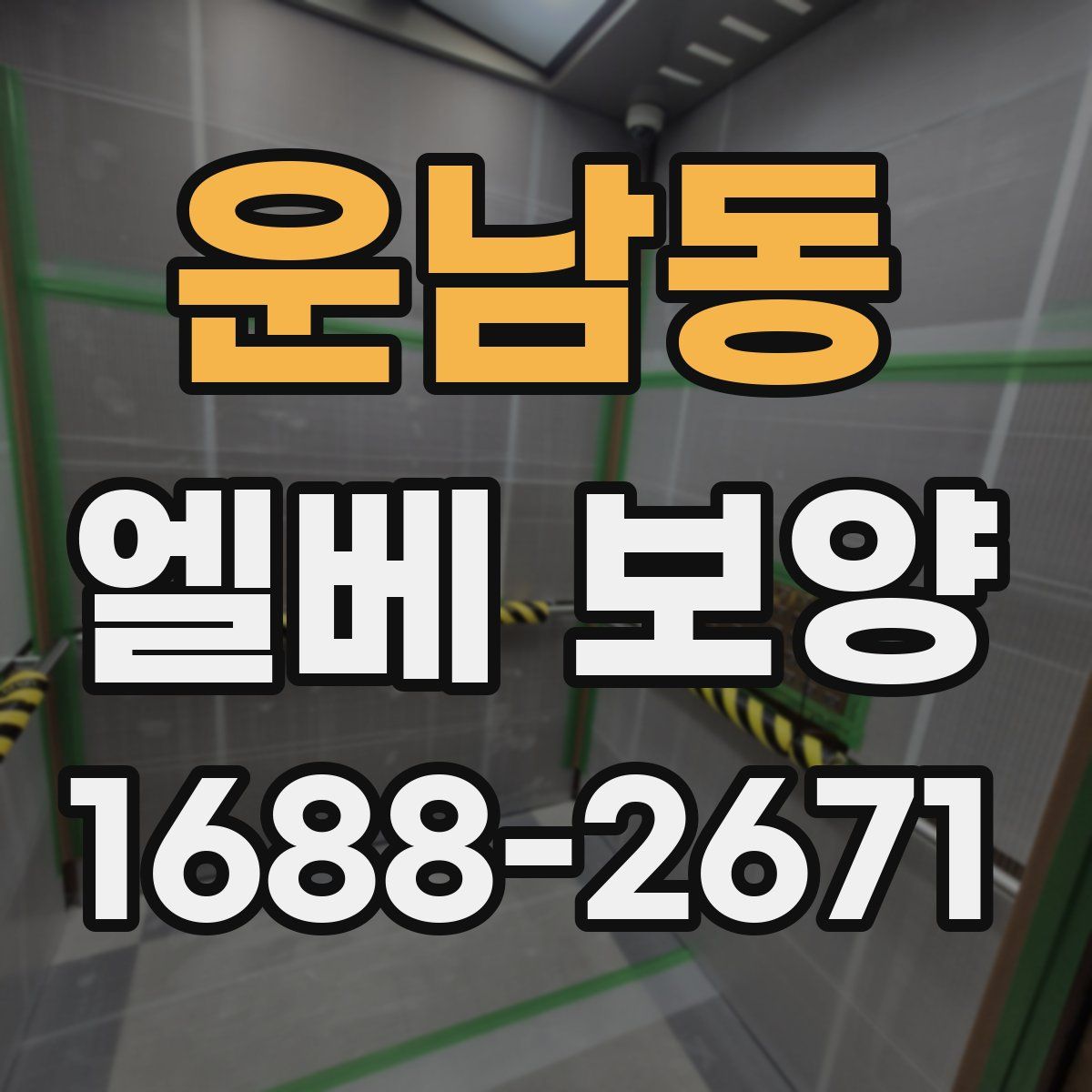 운남동 엘베 보양