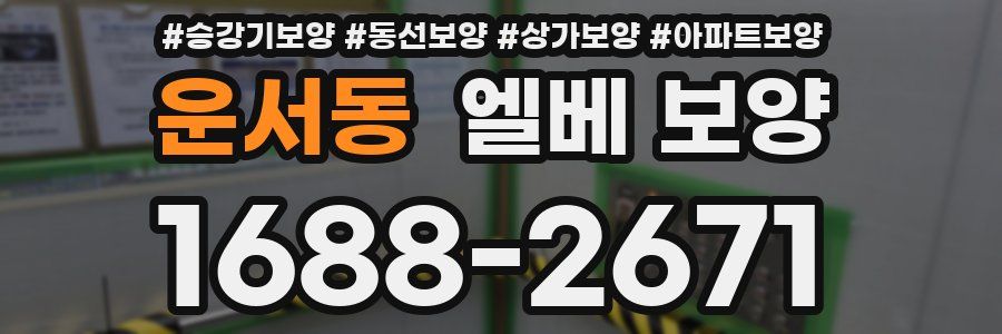 운서동 엘베 보양