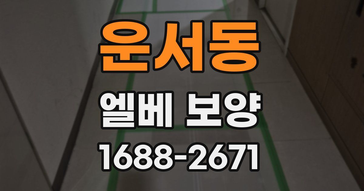 운서동 엘베 보양