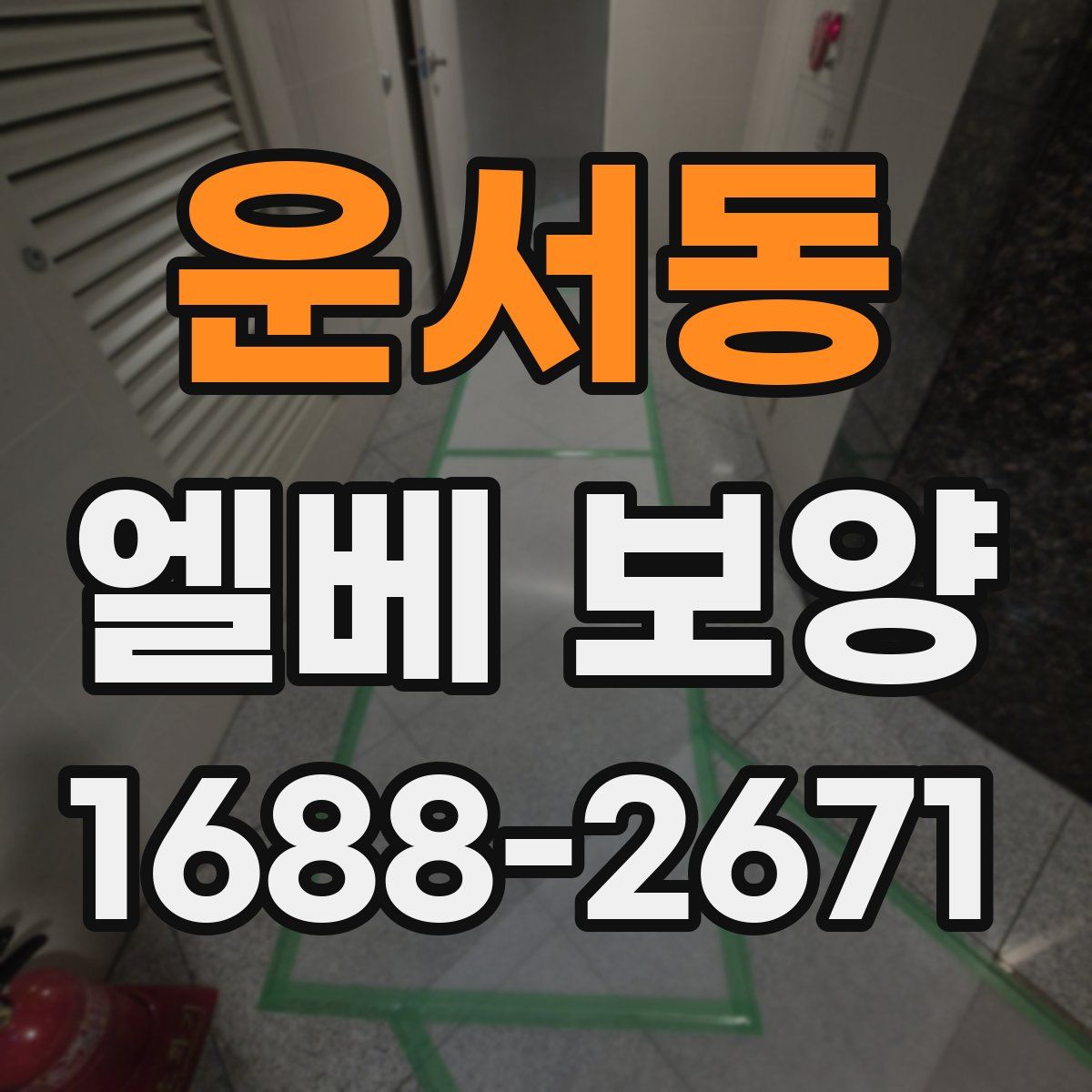 운서동 엘베 보양