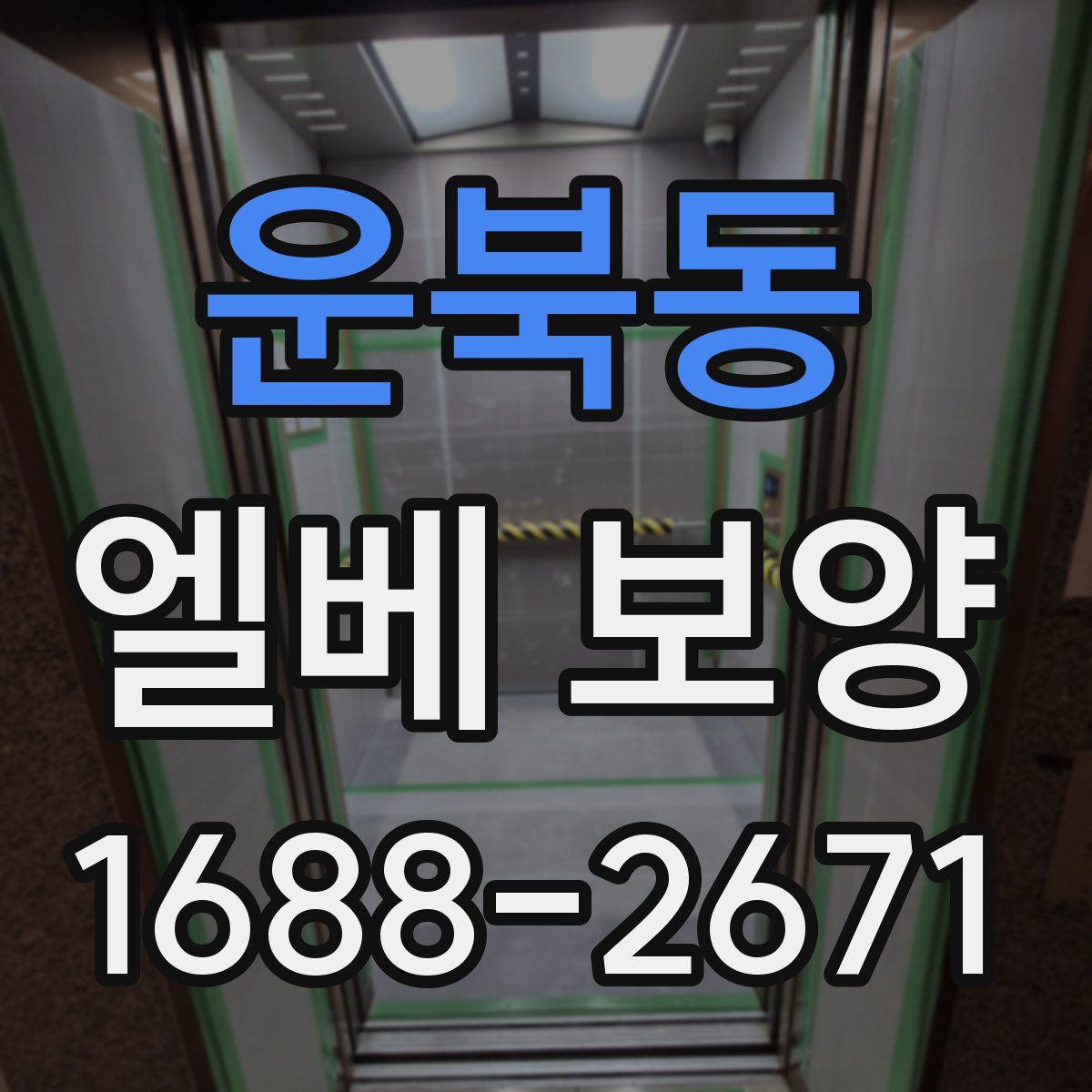 운북동 엘베 보양