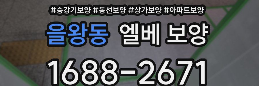 을왕동 엘베 보양