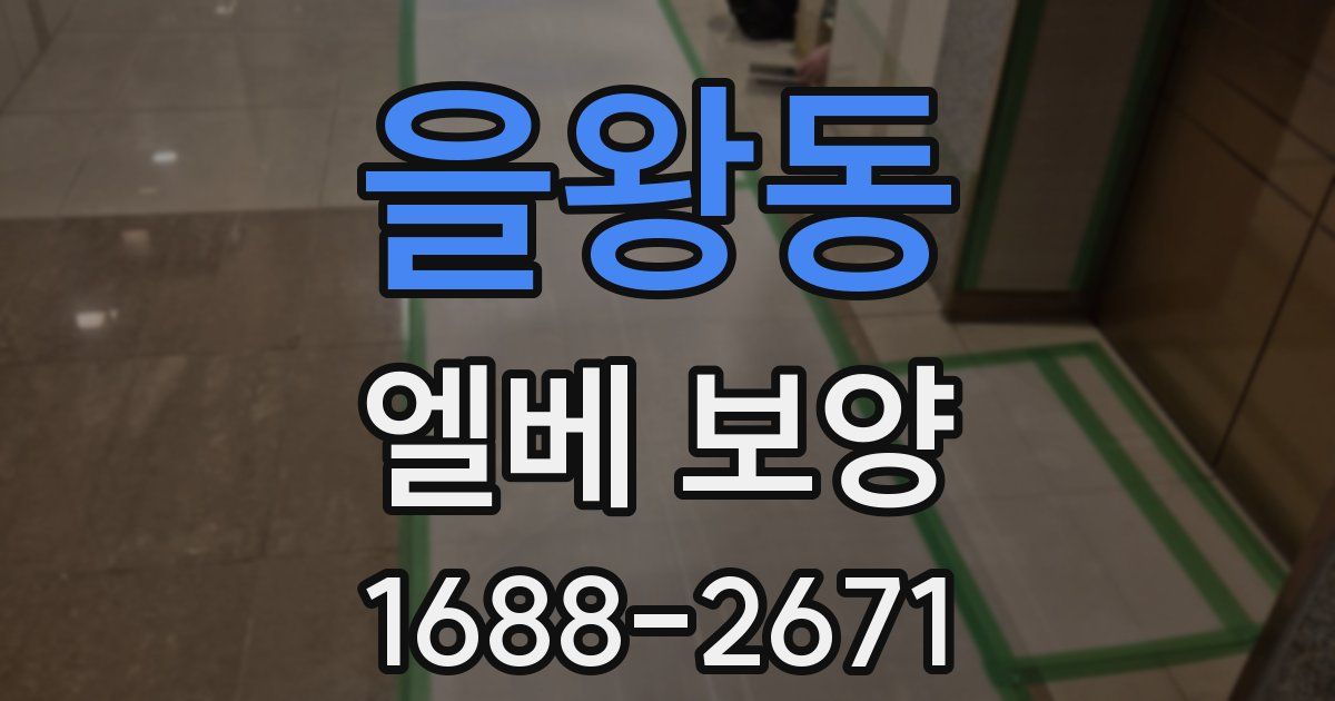 을왕동 엘베 보양