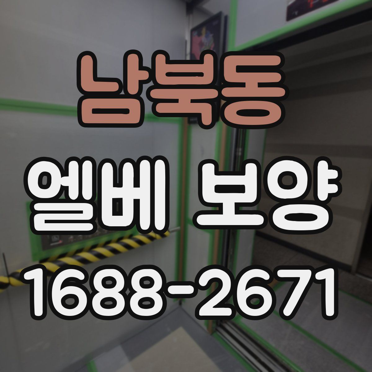남북동 엘베 보양