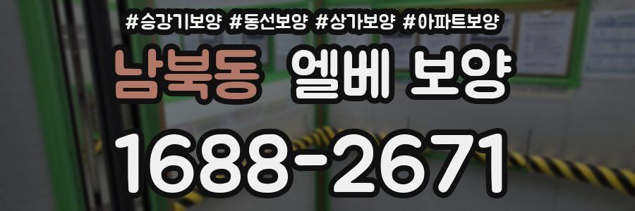 남북동 엘베 보양