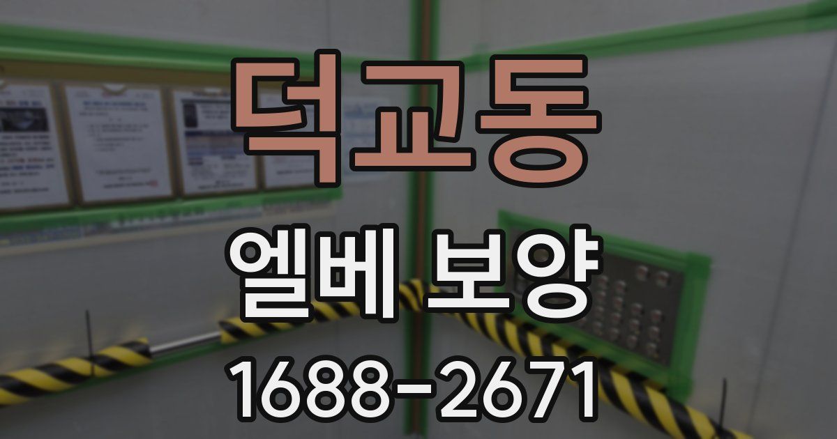 덕교동 엘베 보양
