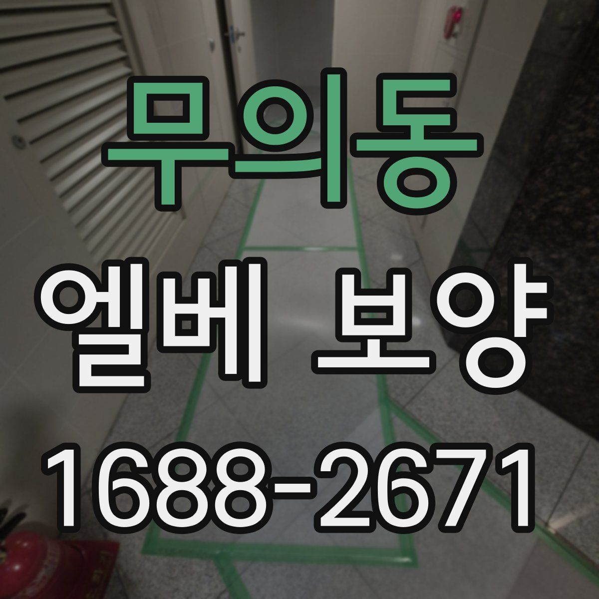 무의동 엘베 보양