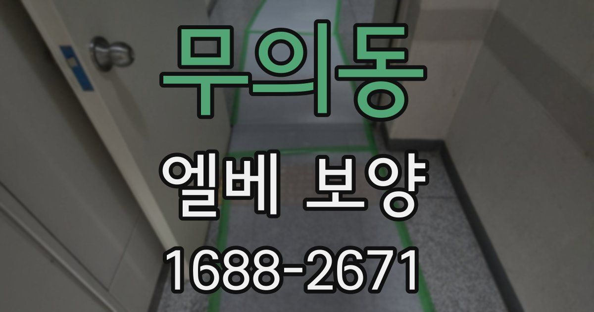 무의동 엘베 보양
