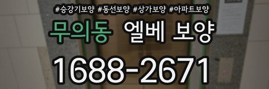 무의동 엘베 보양