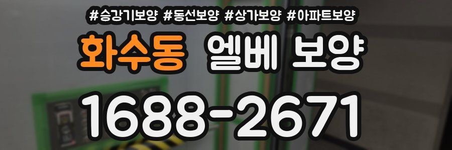 화수동 엘베 보양