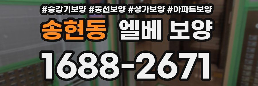 송현동 엘베 보양