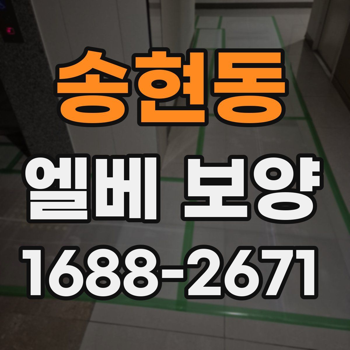 송현동 엘베 보양