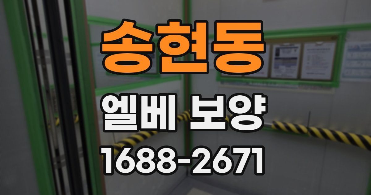 송현동 엘베 보양