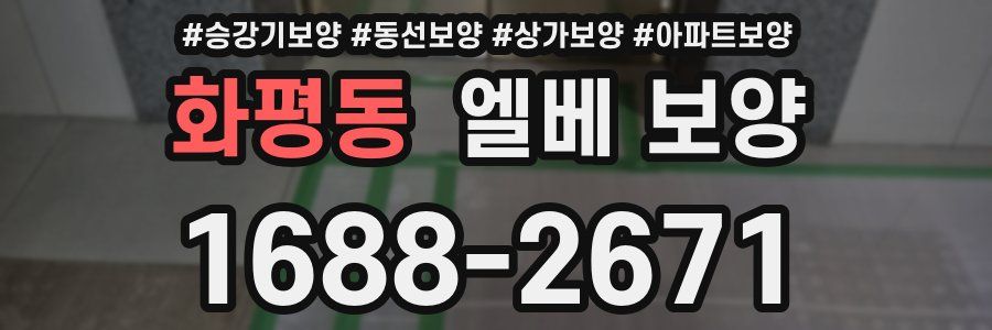 화평동 엘베 보양