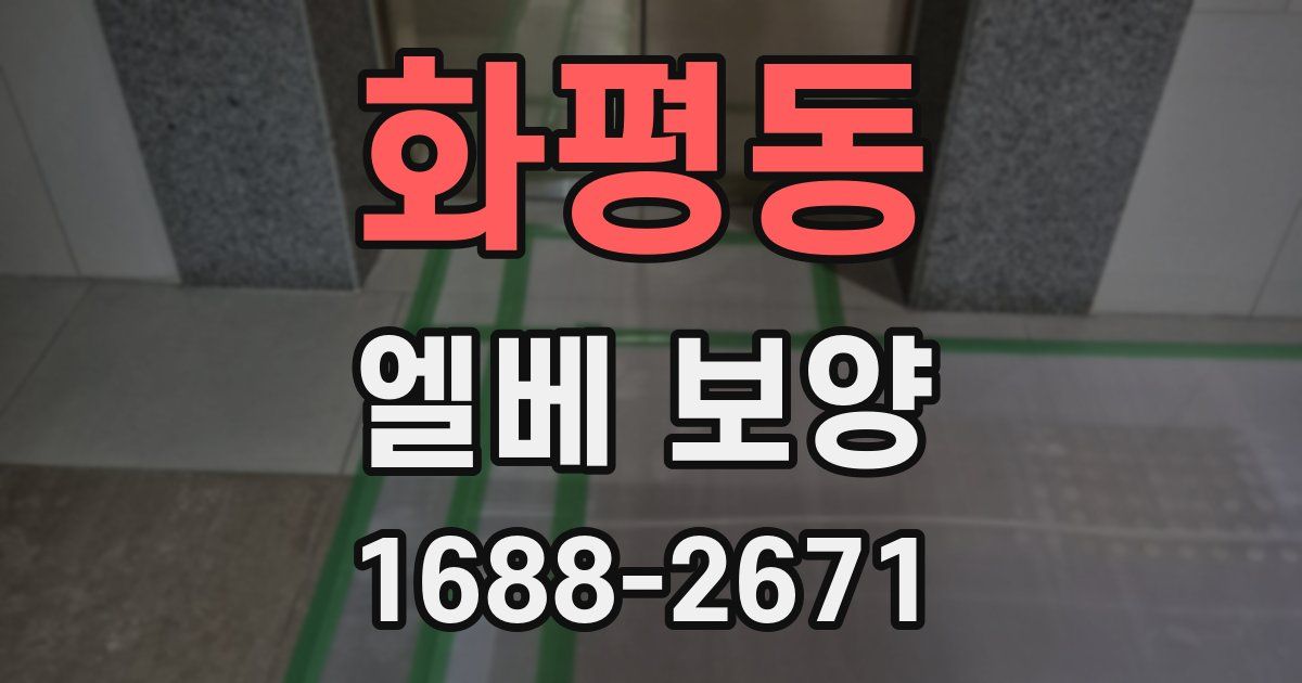 화평동 엘베 보양