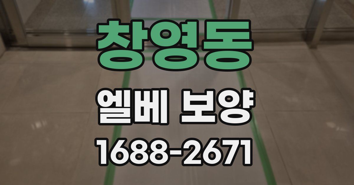 창영동 엘베 보양