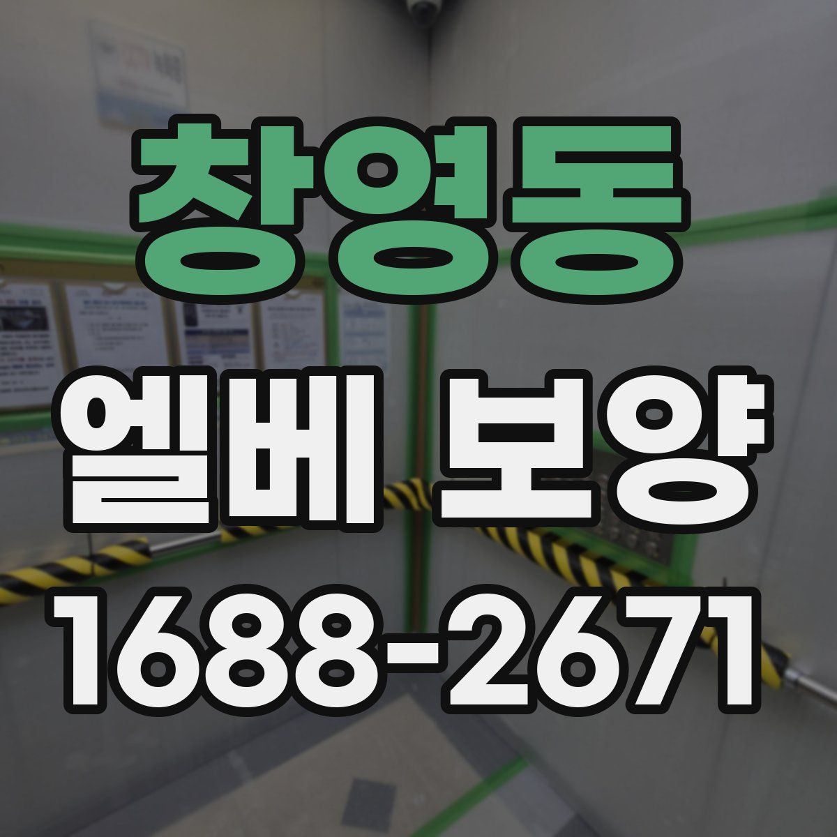 창영동 엘베 보양