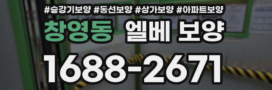 창영동 엘베 보양