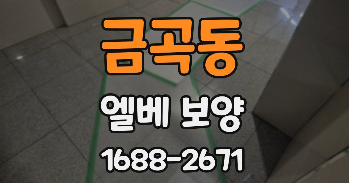 금곡동 엘베 보양