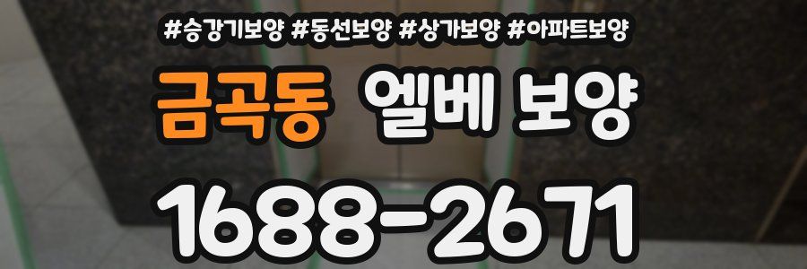 금곡동 엘베 보양