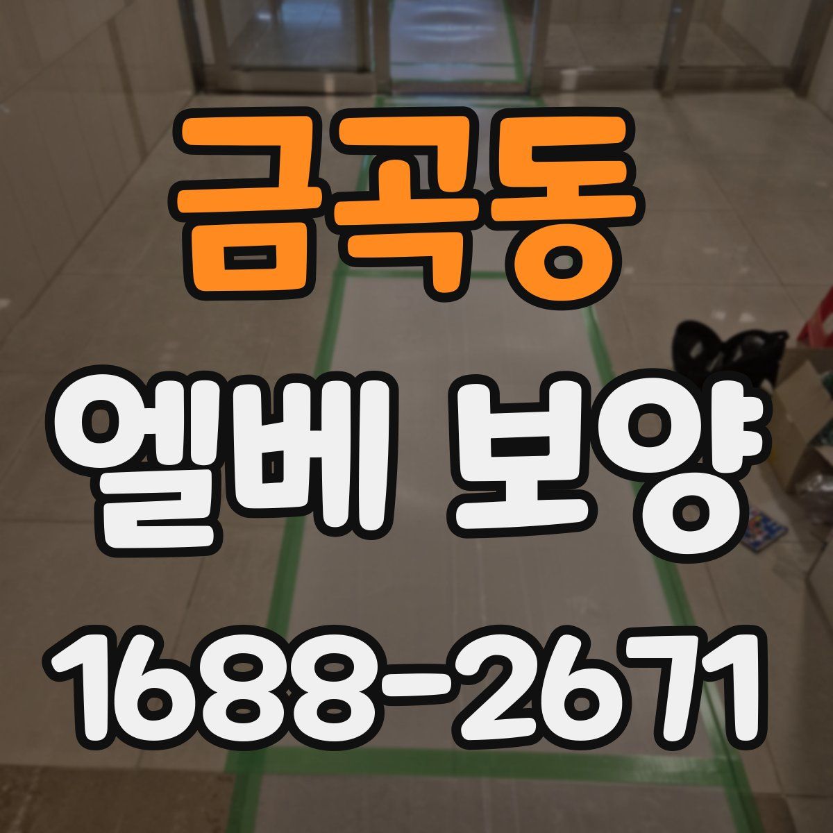 금곡동 엘베 보양