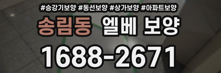 송림동 엘베 보양