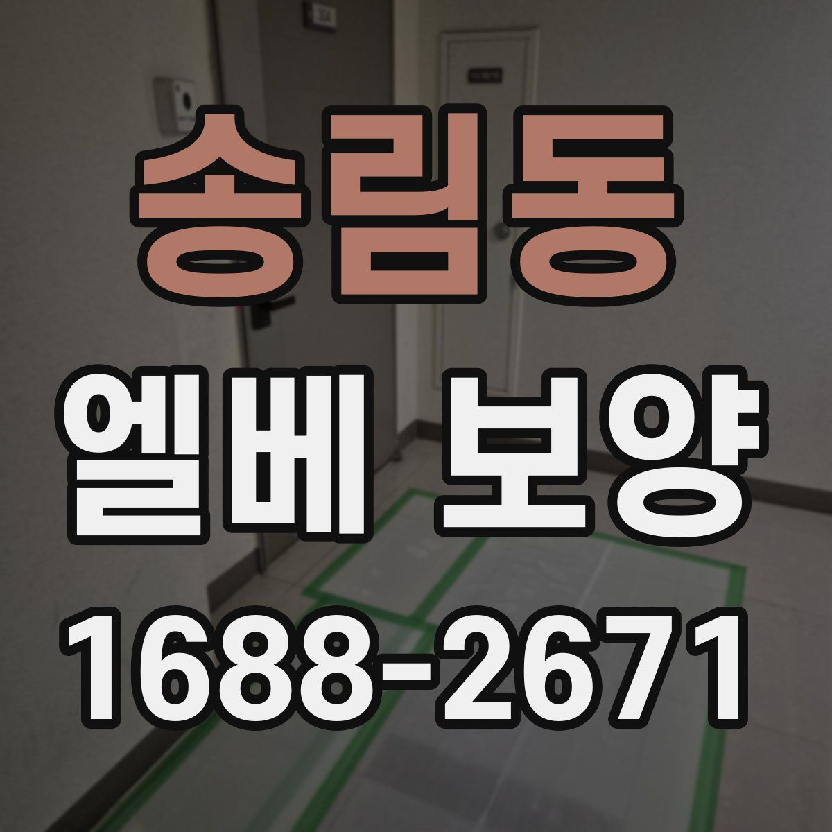 송림동 엘베 보양