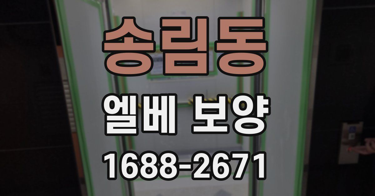 송림동 엘베 보양