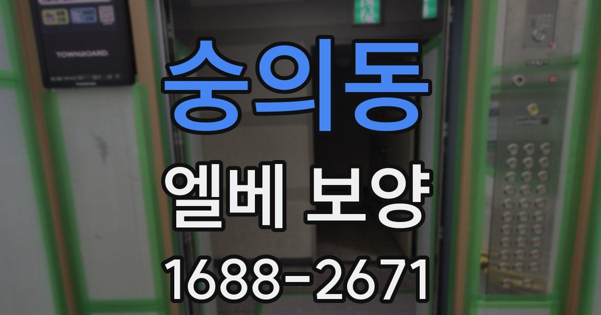 숭의동 엘베 보양