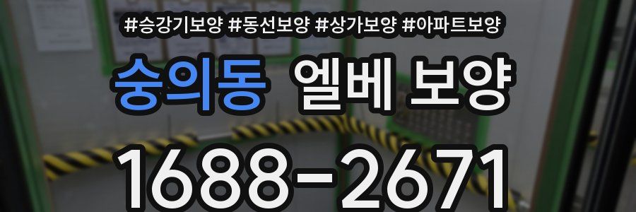 숭의동 엘베 보양