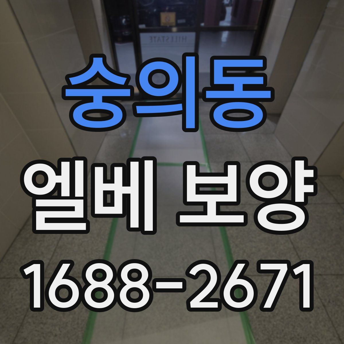 숭의동 엘베 보양