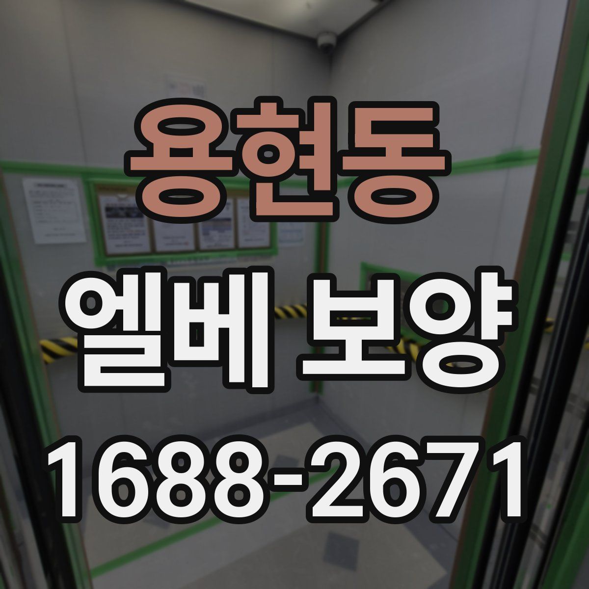 용현동 엘베 보양