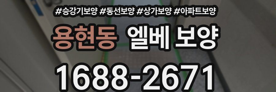 용현동 엘베 보양