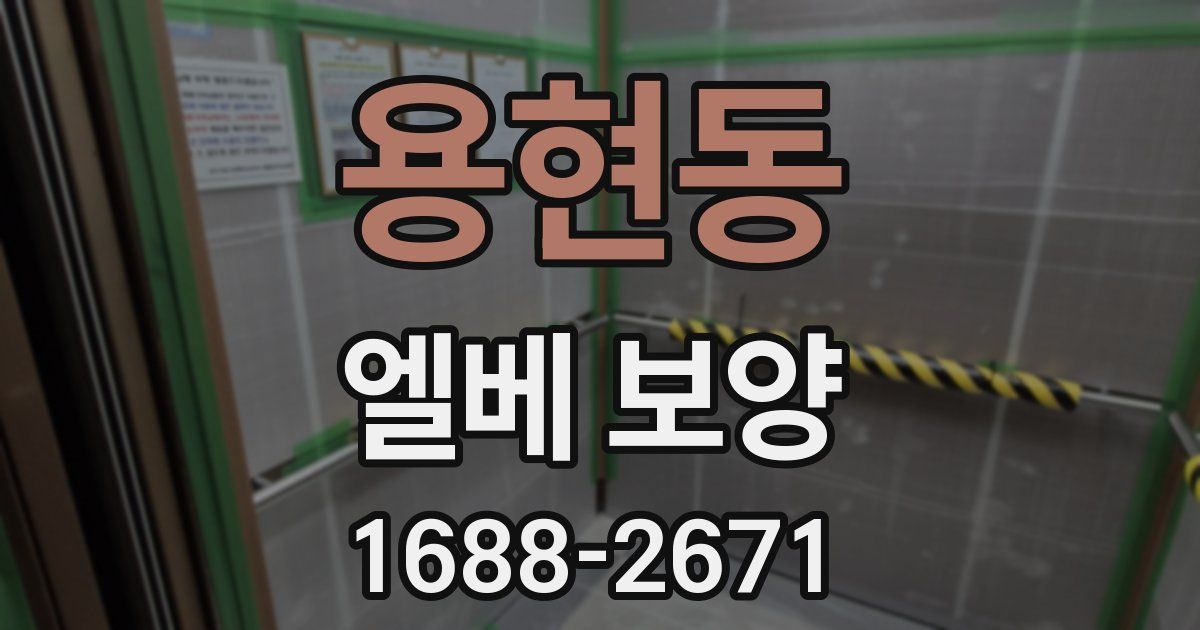 용현동 엘베 보양