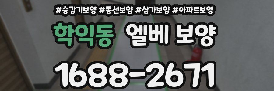 학익동 엘베 보양