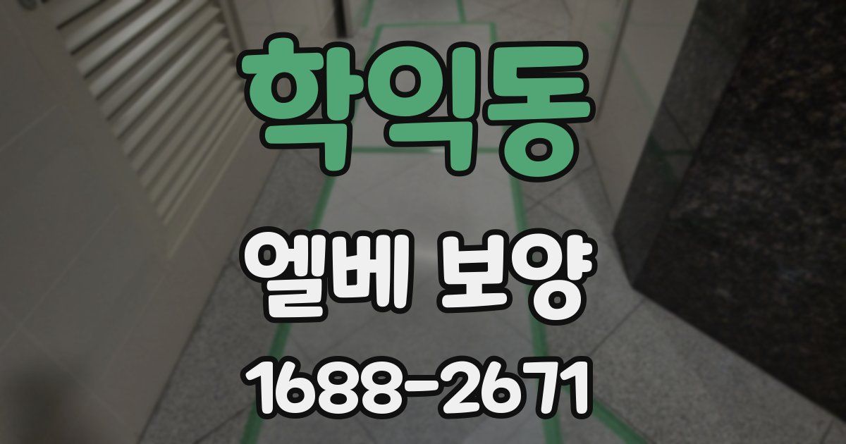 학익동 엘베 보양