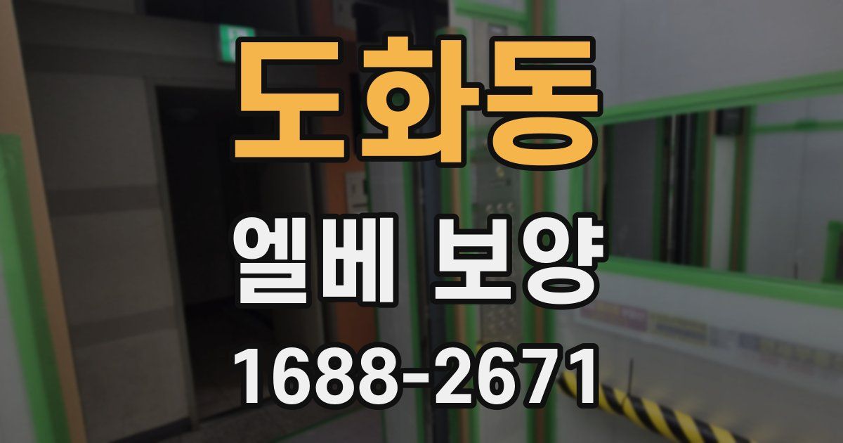 도화동 엘베 보양