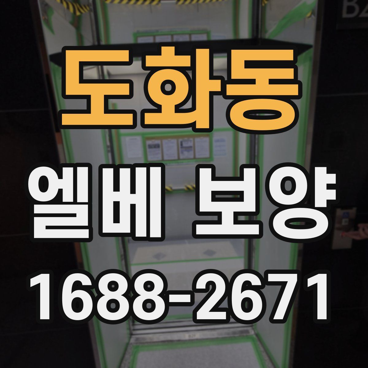도화동 엘베 보양