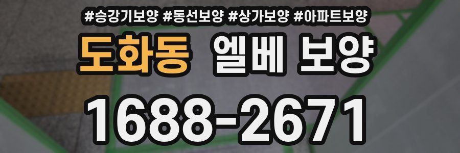도화동 엘베 보양
