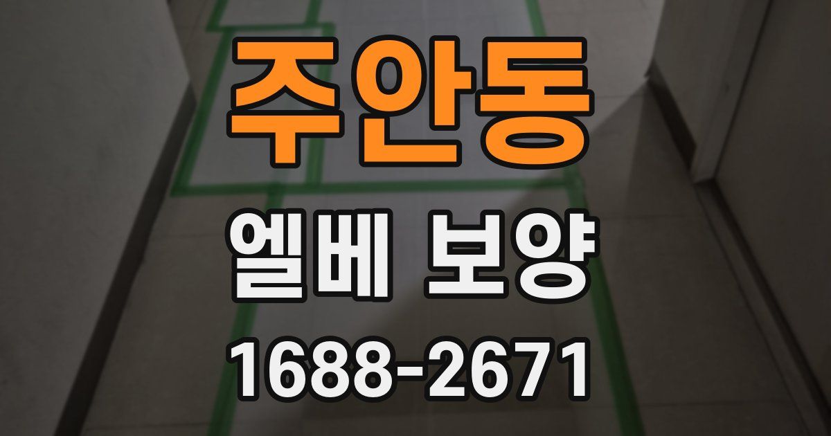 주안동 엘베 보양