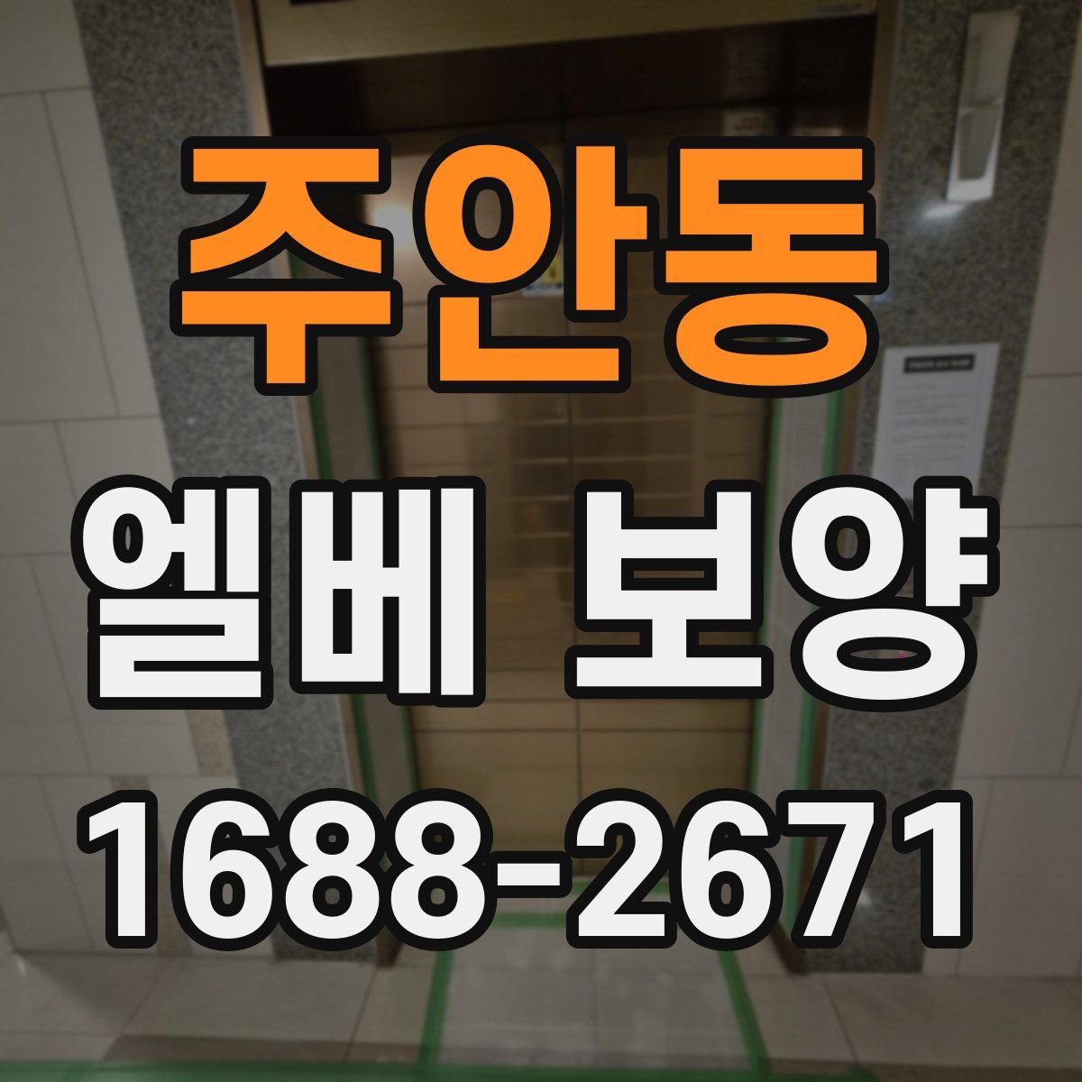주안동 엘베 보양