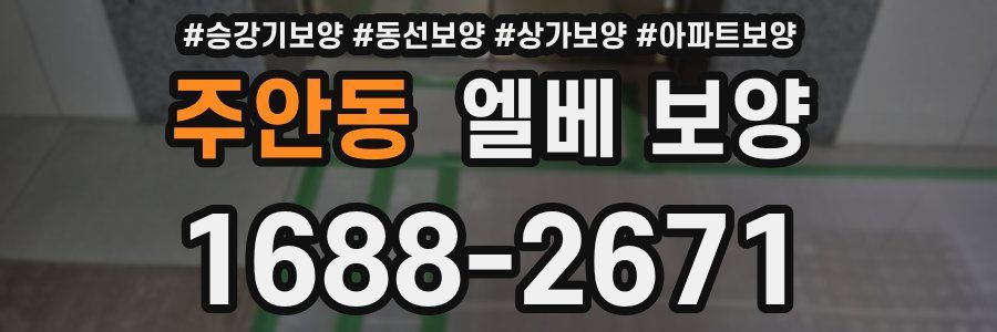 주안동 엘베 보양