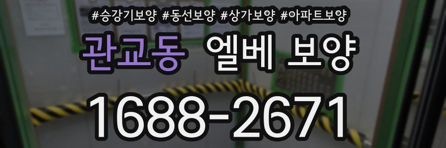 관교동 엘베 보양