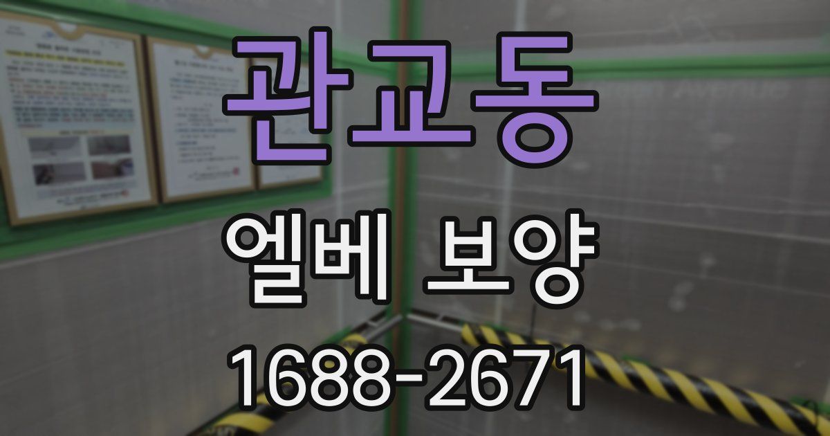 관교동 엘베 보양