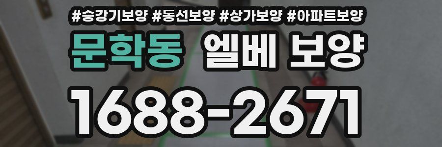 문학동 엘베 보양