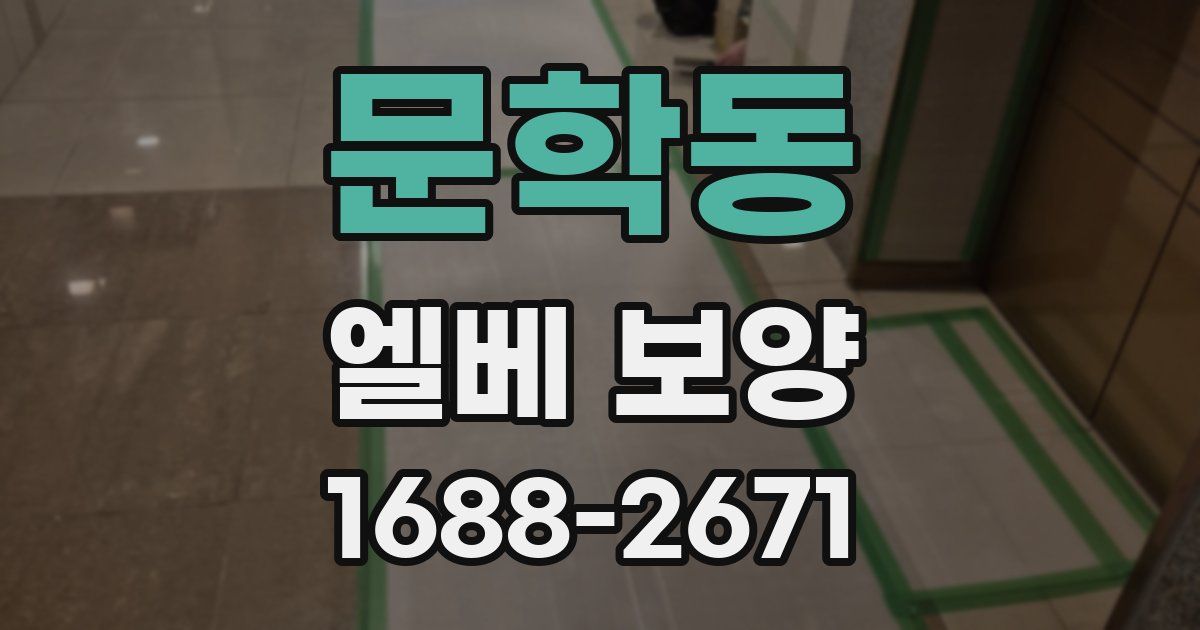 문학동 엘베 보양