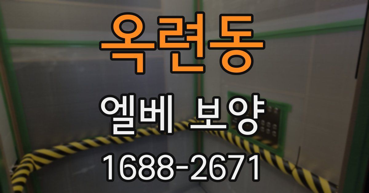 옥련동 엘베 보양