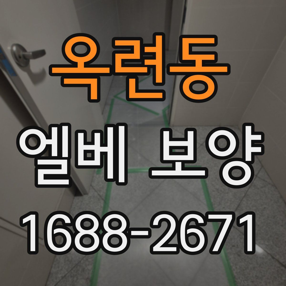 옥련동 엘베 보양